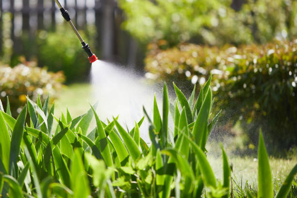 Tamper-Resistant Bait Stations for Rodents in Plymouth