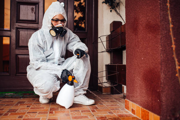 Attic and Crawl Space Rodent Treatment in Plymouth
