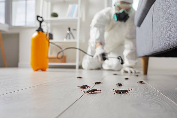 Commercial Rodent Management in Plymouth